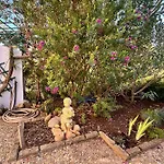 Les Pinedes Jardin Fleuri Et A Pied Au Calme Appartement