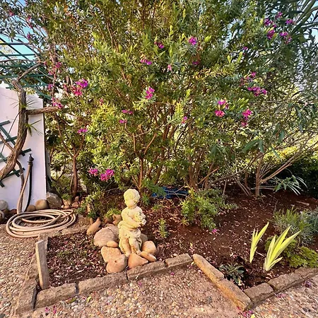 Les Pinedes - Un Jardin Fleuri A Cote De La Apartment