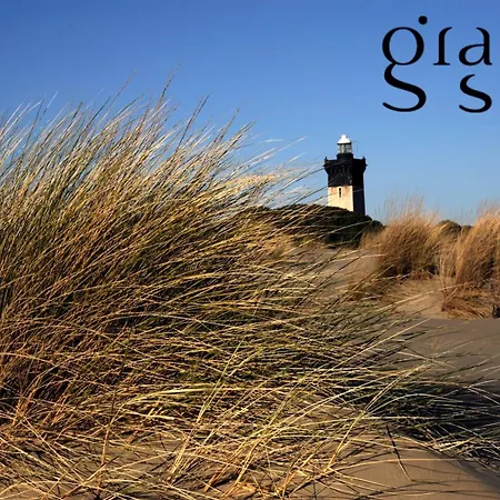 Apartment Les Pinedes - Un Jardin Fleuri A Cote De La *