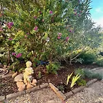아파트 Les Pinedes Jardin Fleuri Et A Pied Au Calme 르그로뒤후아