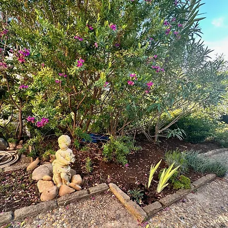 Les Pinedes - Un Jardin Fleuri A Cote De La Le Grau-du-Roi