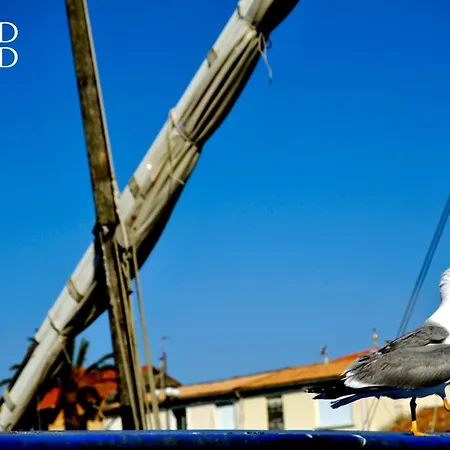 Les Pinedes - Un Jardin Fleuri A Cote De La Le Grau-du-Roi
