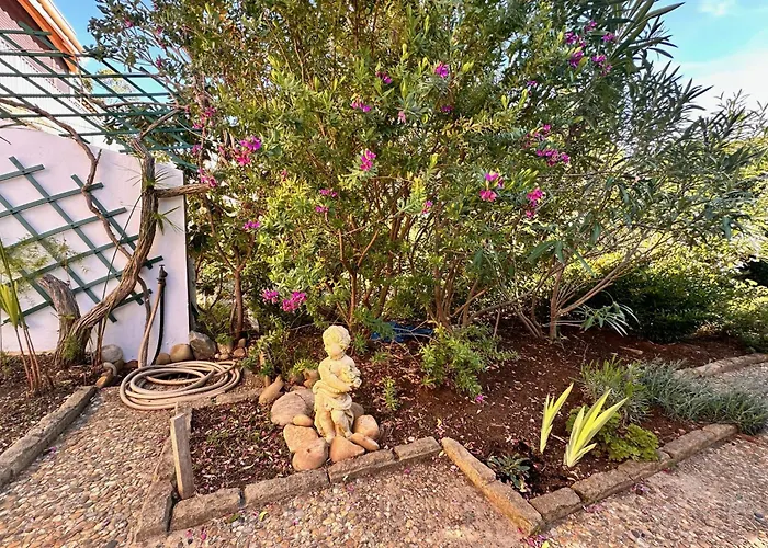 Les Pinedes - Un Jardin Fleuri A Cote De La 아파트