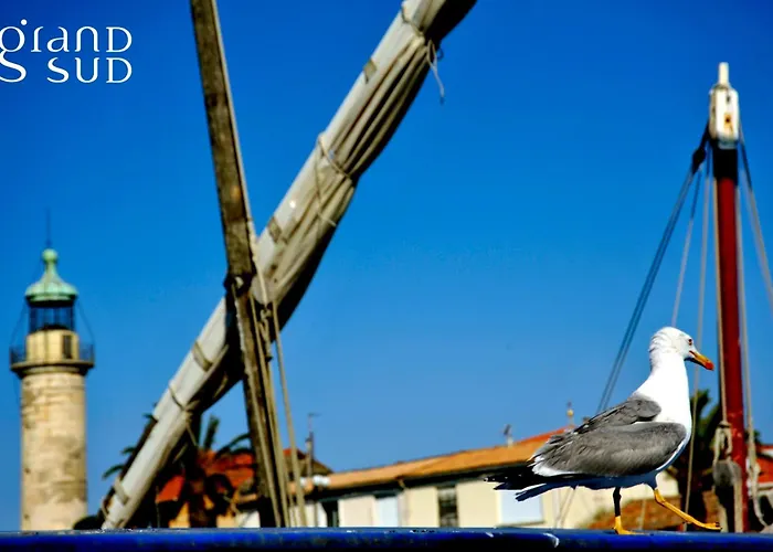 Les Pinedes - Un Jardin Fleuri A Cote De La 르그로뒤후아